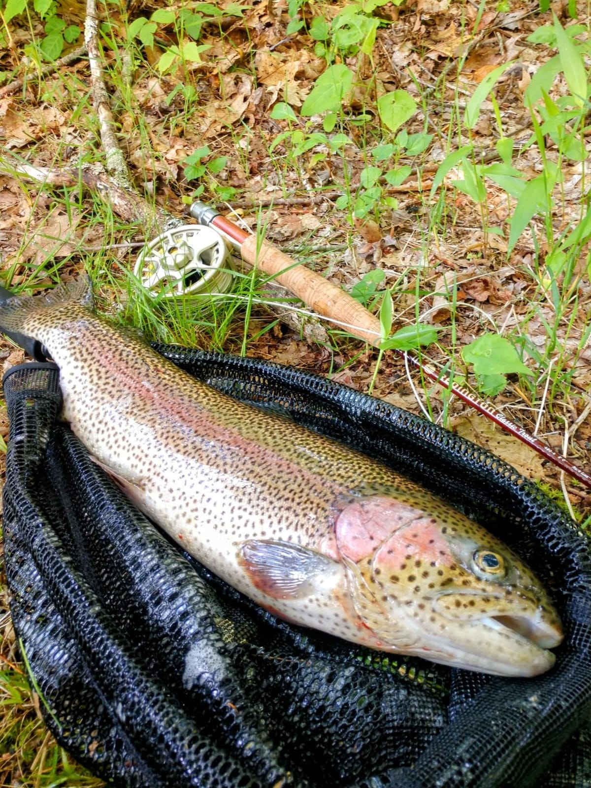 Redington Classic Trout Freshwater Fly Fishing Rod - Moderate Action 4-Piece Fly Rod - Case Included customer photo 1