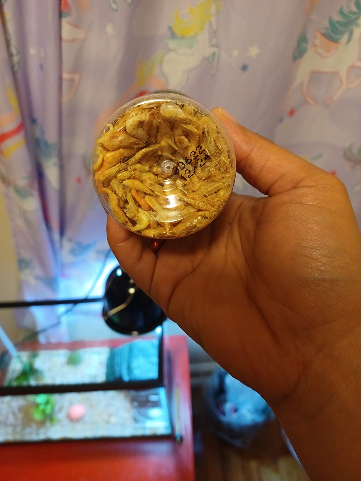 Fluker's Freeze Dried River Shrimp, Nutrient-Packed, Ideal for Lizards, Reptiles, Birds, Fish, Hedgehogs, 1 Oz customer photo 1