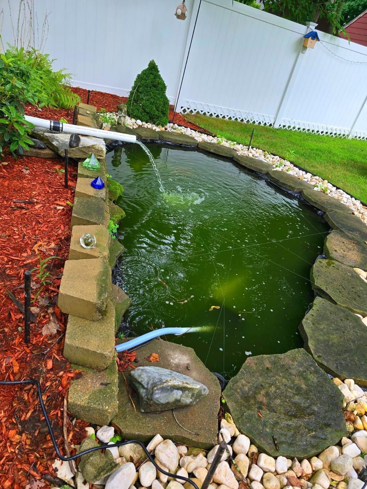 OASE Vitronic 18 UV Clarifier for Pond customer photo 1