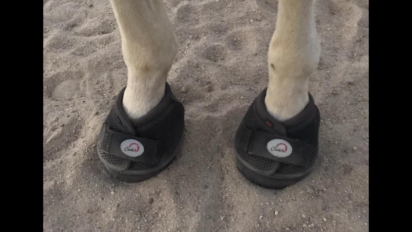 Cavallo Horse & Rider Trek Slim Sole Hoof Boots, Size 4 customer photo 2