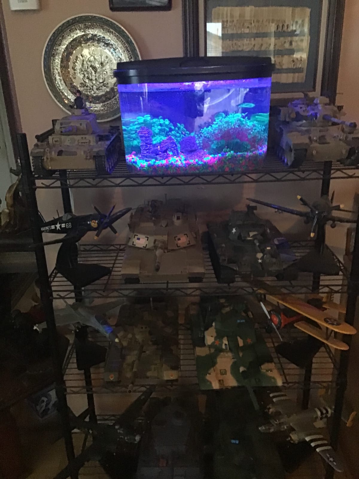 Koller Products 5-Gallon Aquarium Kit with LED Lighting and Power Filter, Ideal for a Variety of Tropical Fish customer photo 1