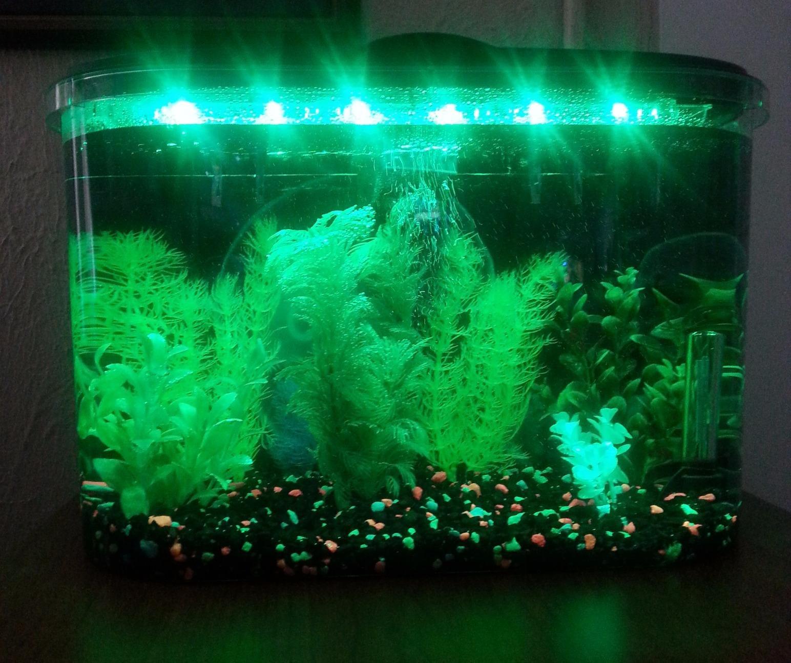 Koller Products 5-Gallon Aquarium Kit with LED Lighting and Power Filter, Ideal for a Variety of Tropical Fish customer photo 2