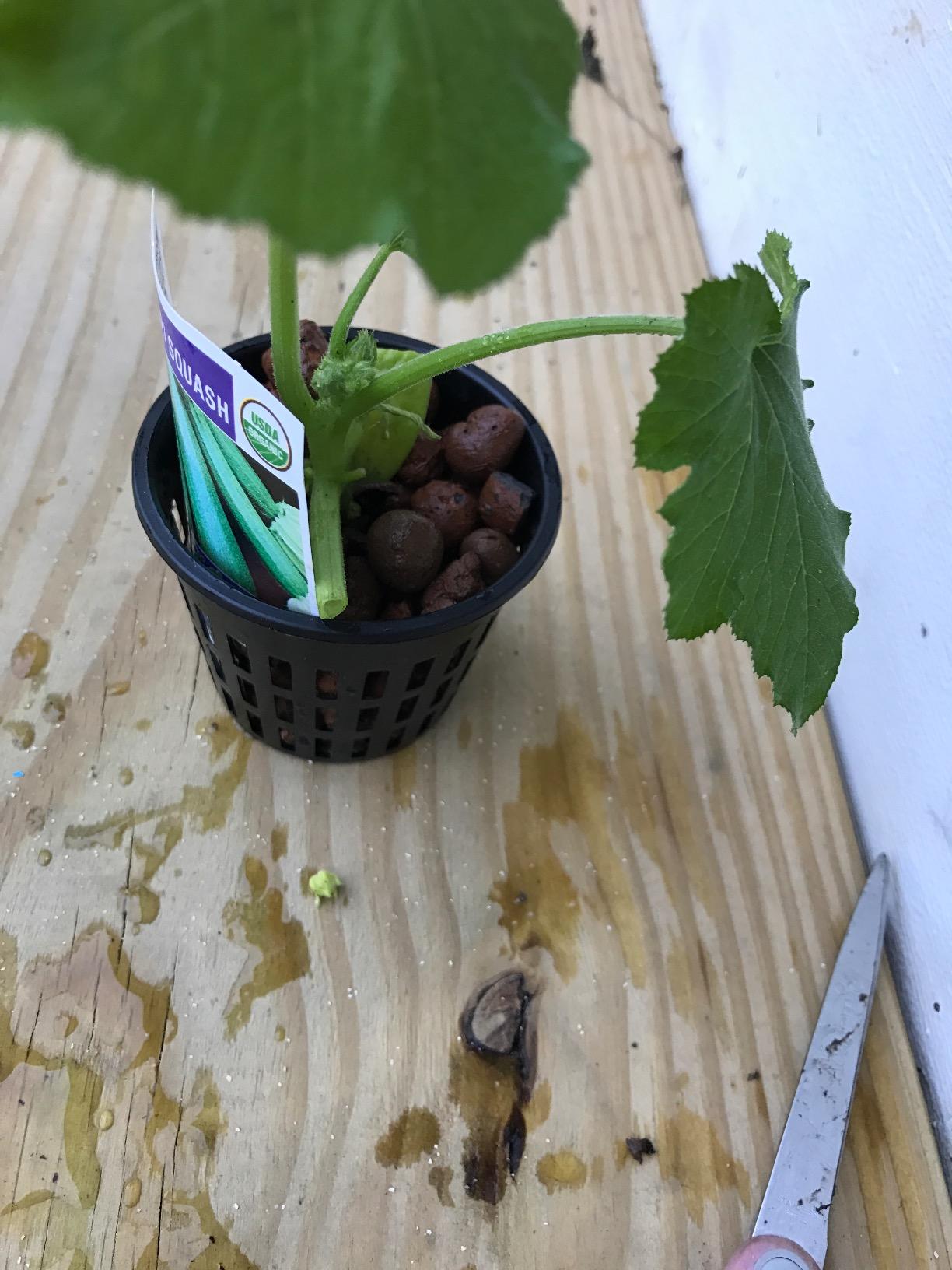Grow!T Expanded Clay Pebbles, 4-16 mm, Brown, 40 L, Hydroponic Media customer photo 1