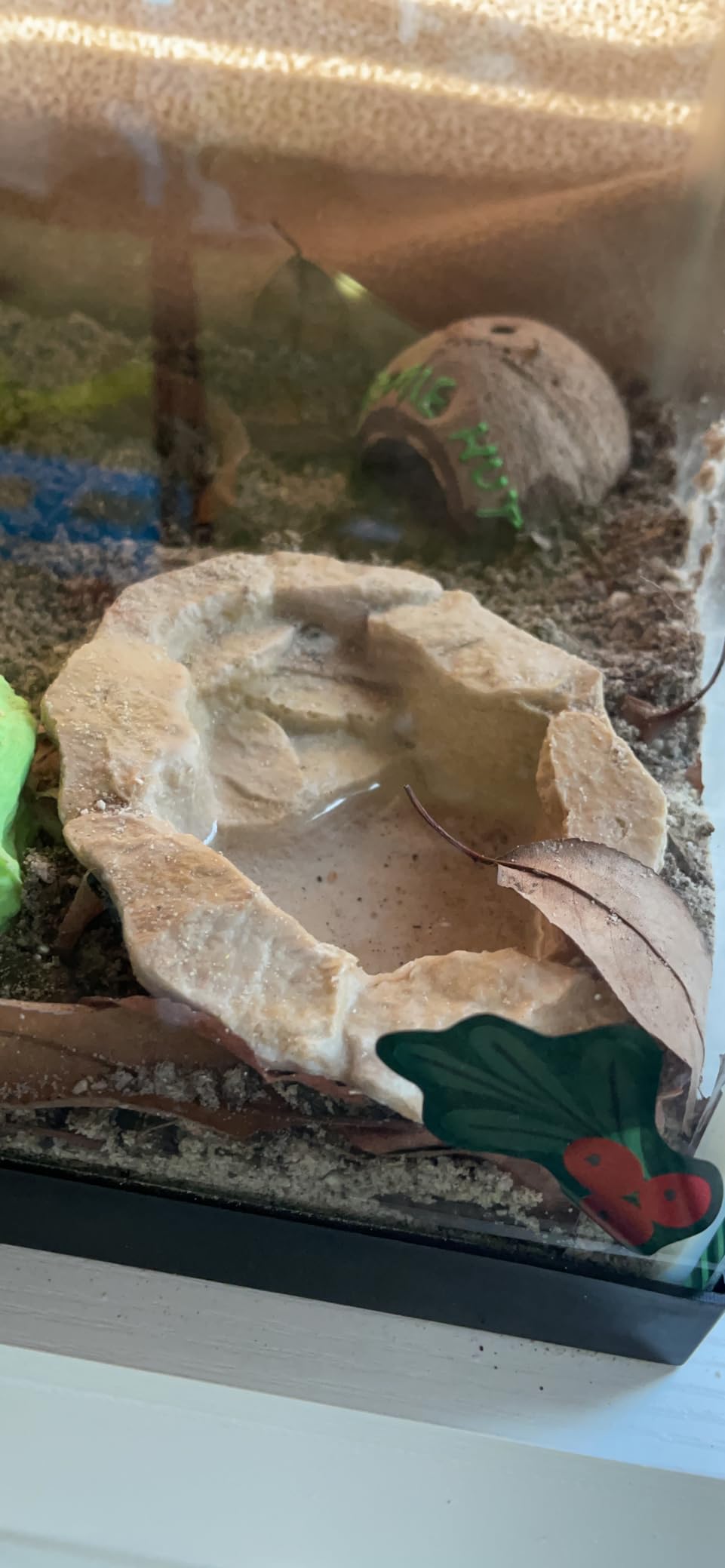 Fluker's Lagoon for Hermit Crabs, Water Bowl with Steps customer photo 1