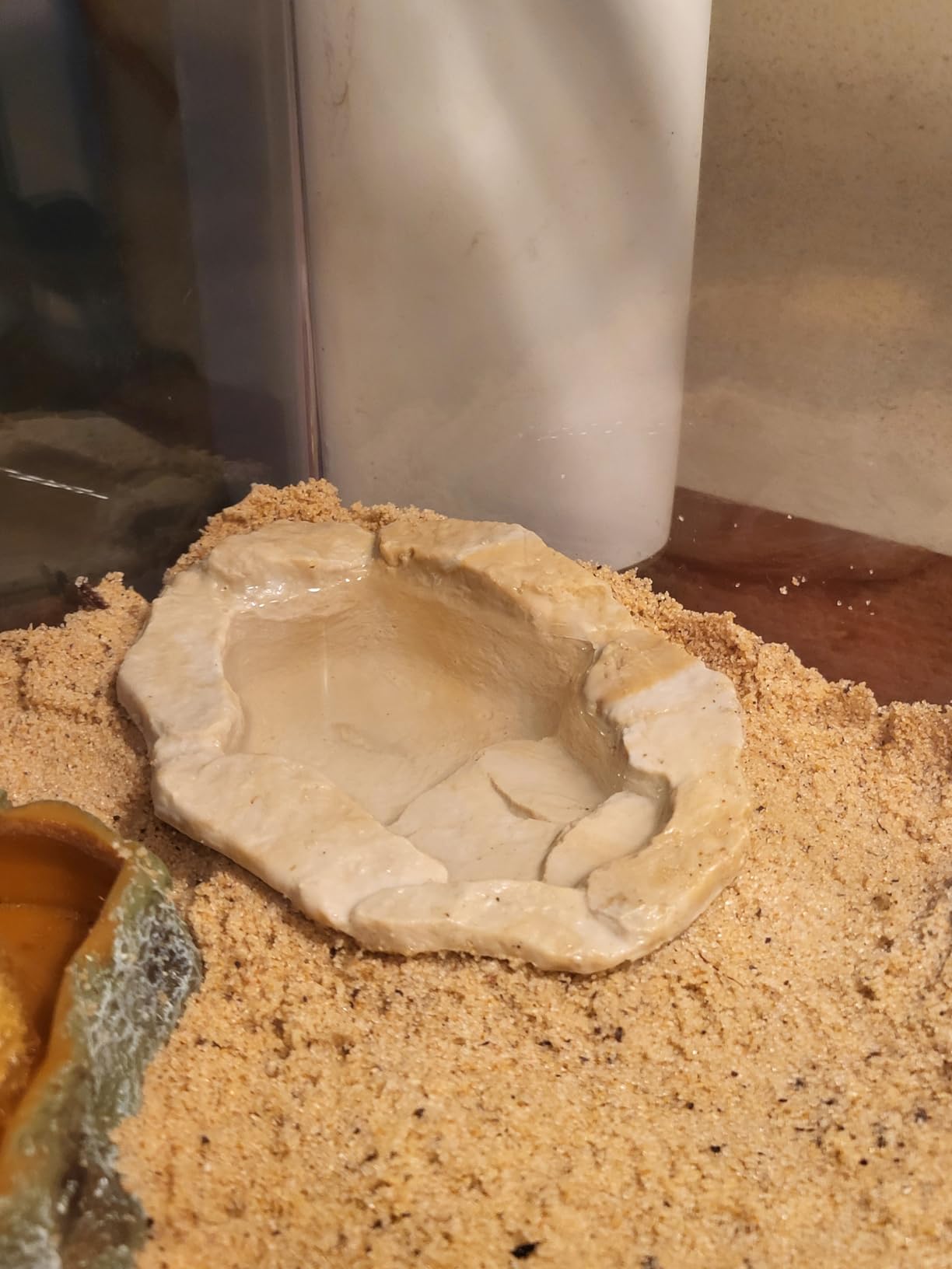 Fluker's Lagoon for Hermit Crabs, Water Bowl with Steps customer photo 2