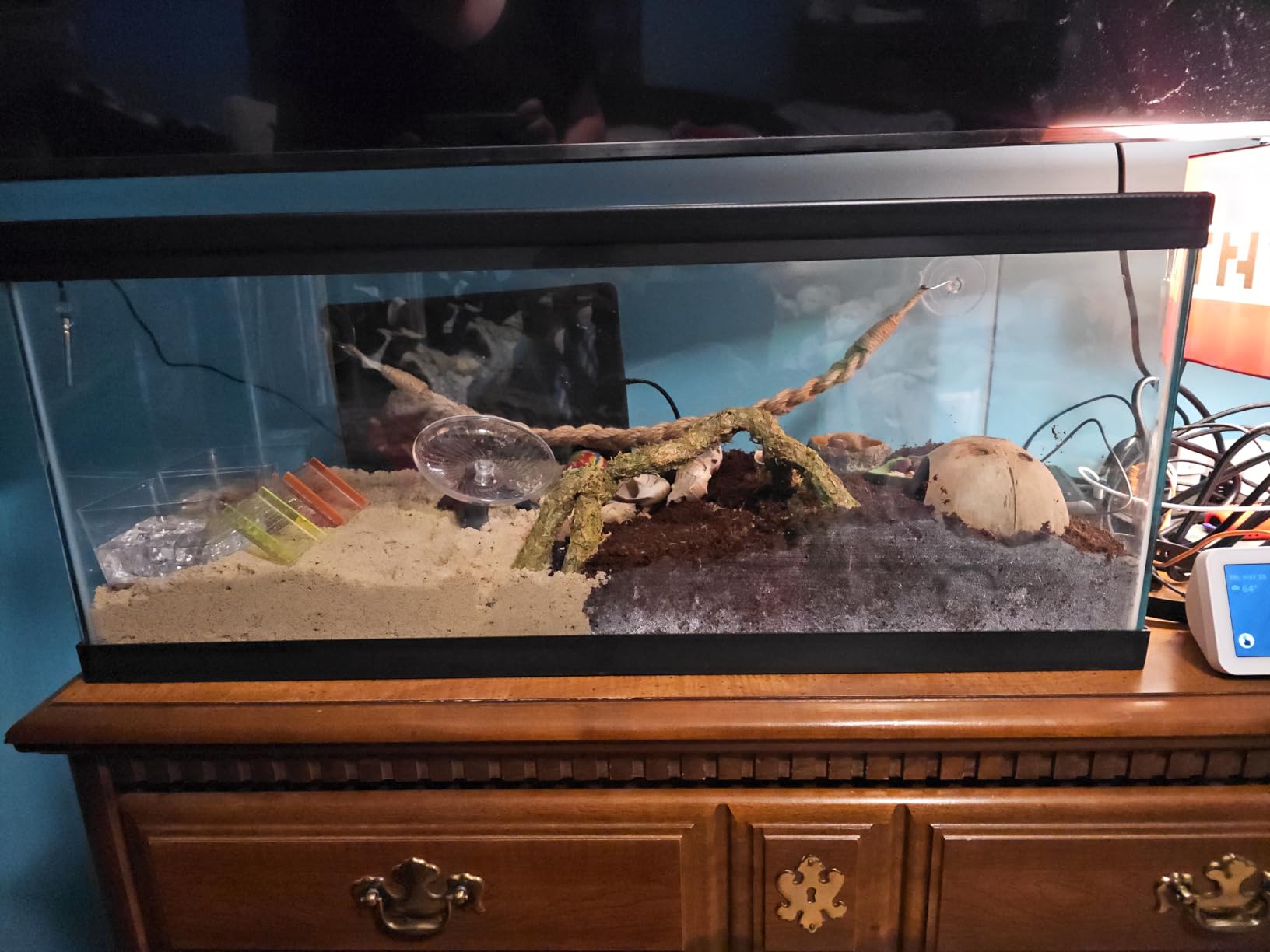 Fluker's All Natural Premium Hermit Crab Sand Substrate, Sand Mixture with Coconut Fiber, For Hermit Crab Tanks, 6 lbs. customer photo 2