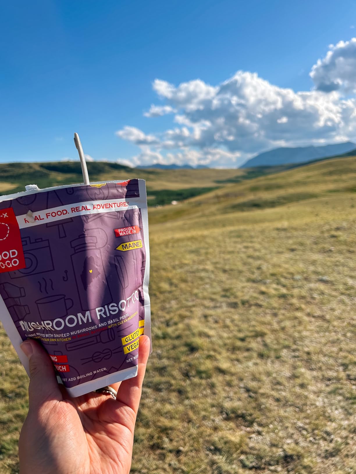 GOOD TO-GO Mushroom Risotto (Single Serving) | Camping & Backpacking Food | Just Add Water Backpacking Meals | Good To-Go Dehydrated Meals Taste Better Than Freeze Dried Food customer photo 1