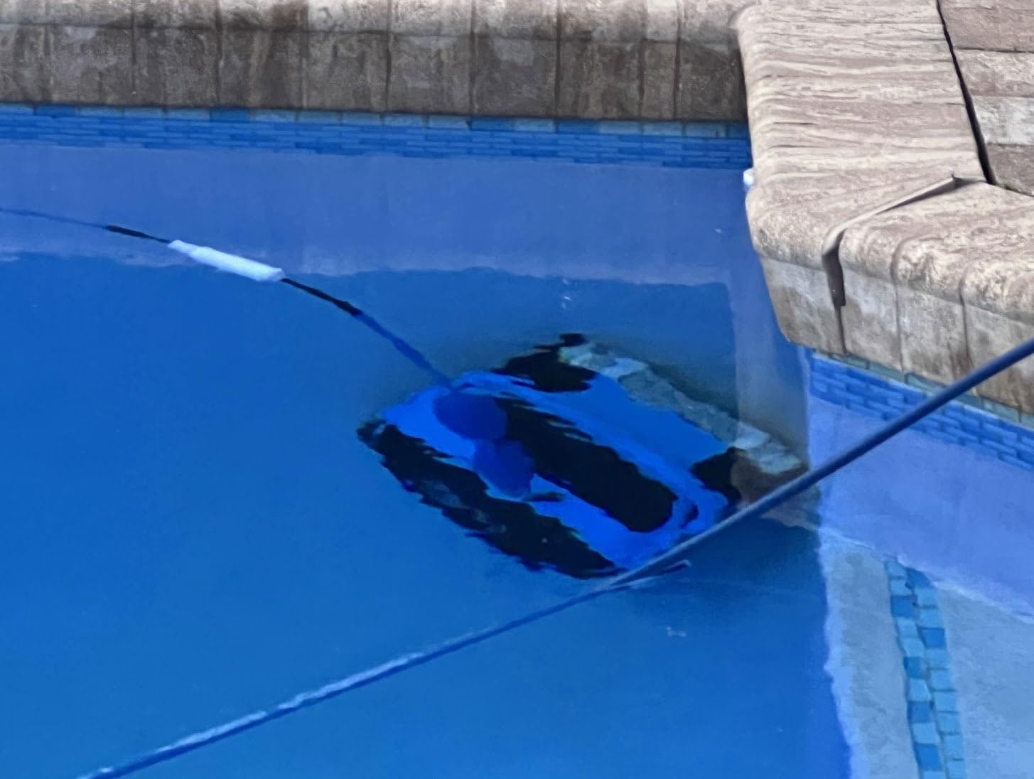 Dolphin Automatic Robotic Pool Vacuum Cleaner, Wall Climbing Scrubber Brush, Smart Navigation, Ideal for In-Ground Pools up to 40FT in Length - Nautilus CC Plus customer photo 2