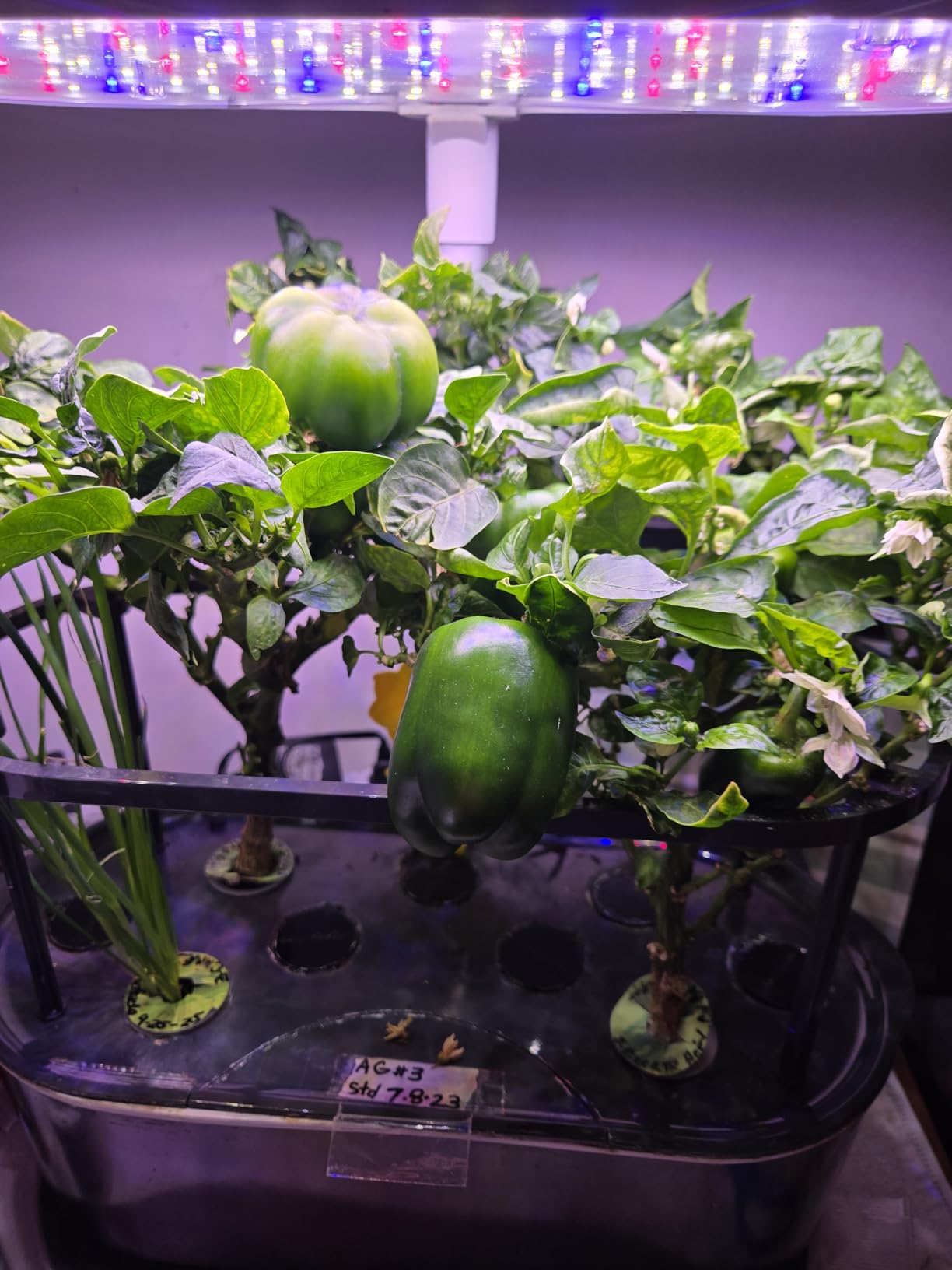 Miracle-Gro AeroGarden Liquid Plant Food 4-3-6, 3 fl. oz. customer photo 1