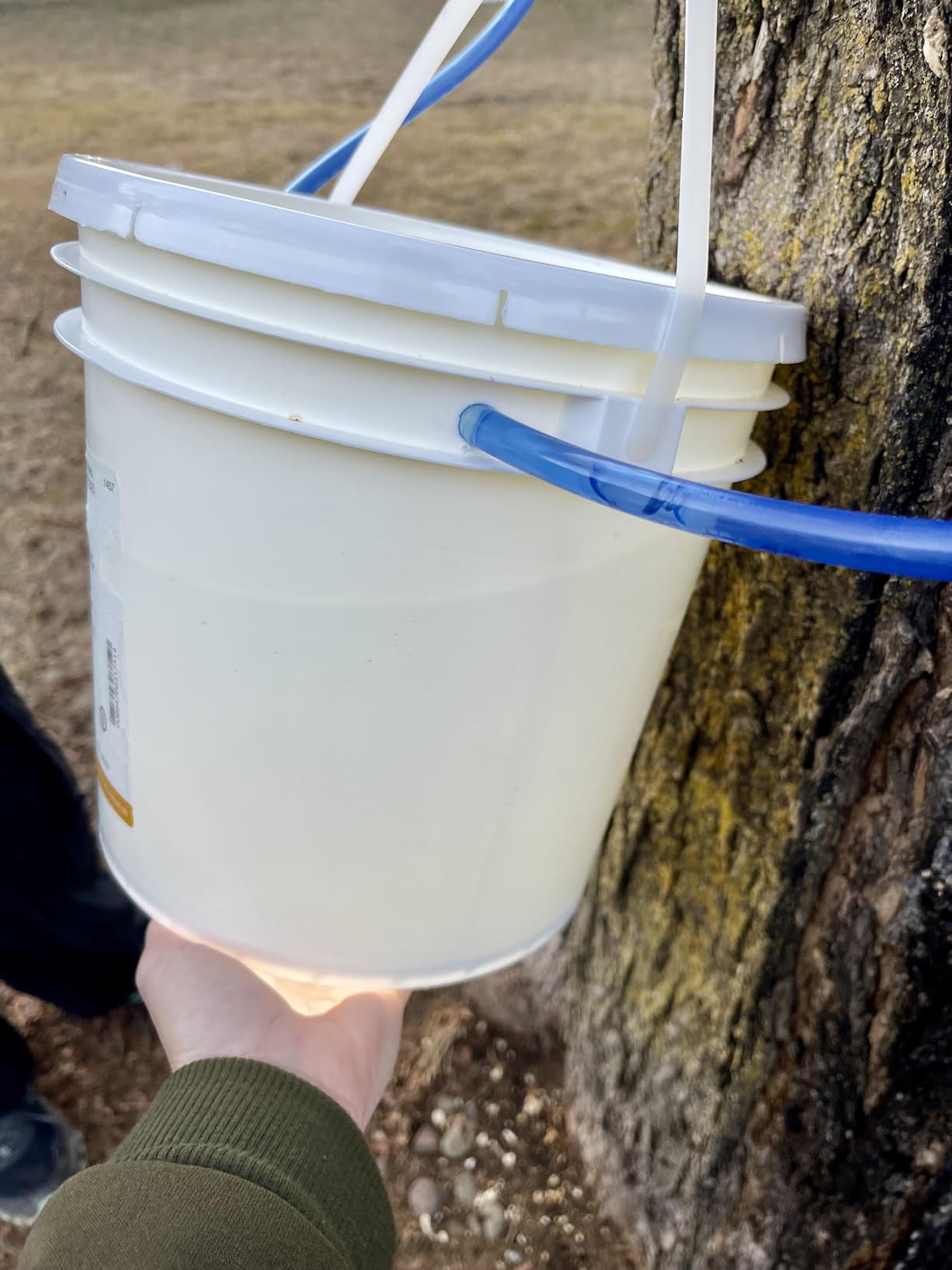 MAPLE TAPPER Maple Syrup Tree Tapping Kit – (10) Spiles + (10) 3' Tubes + (2) 1- QT Maple Sap Filters – BPA Free Food Grade - Full Instructions, Recipe Cards- Made in North America customer photo 1