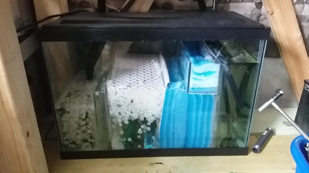 K1 Filter Media PREMIUM GRADE Moving Bed Biofilm Reactor (MBBR) for Aquaponics • Aquaculture • Hydroponics • Ponds • Aquariums by Cz Garden Supply (1 Gallon) customer photo 1