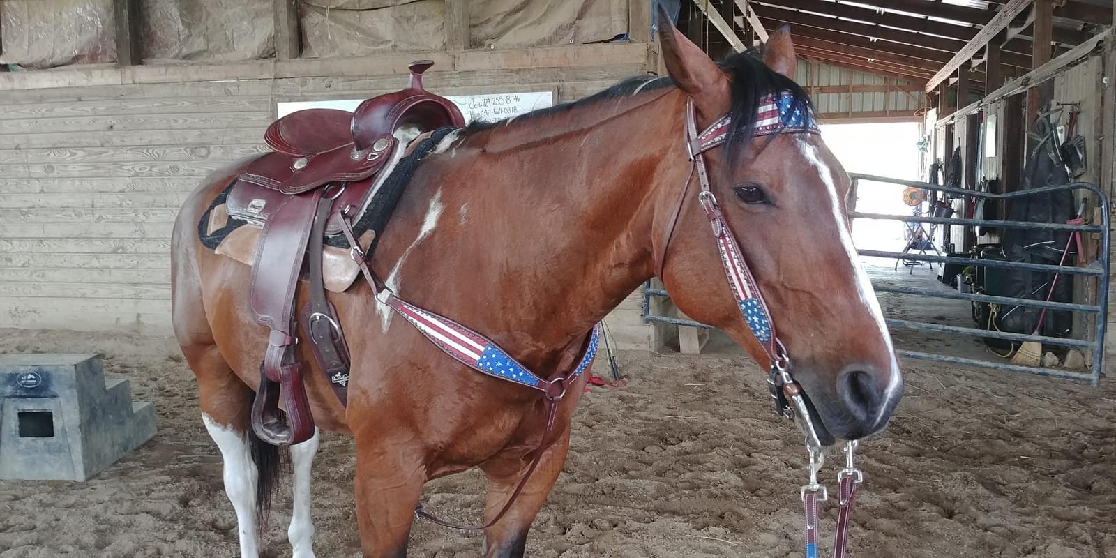 Tahoe Tack Patriotic American Flag Drum Dyed Leather Western Breast Collar(Full Horse Size) customer photo 1