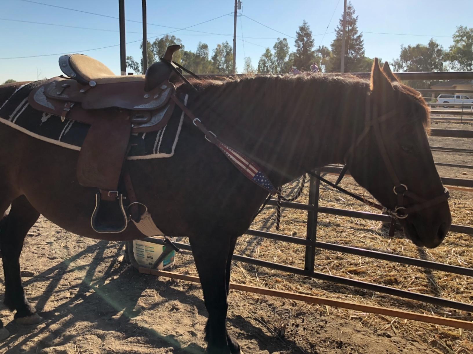Tahoe Tack Patriotic American Flag Drum Dyed Leather Western Breast Collar(Full Horse Size) customer photo 2