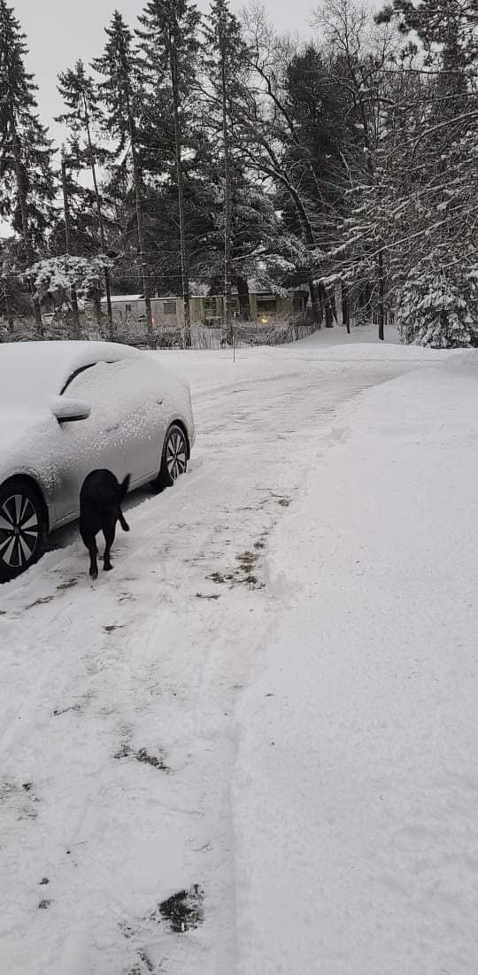 Greenworks 80V (75+ Compatible Tools) 20” Brushless Cordless Snow Blower, 2.0Ah Battery and Charger Included customer photo 2