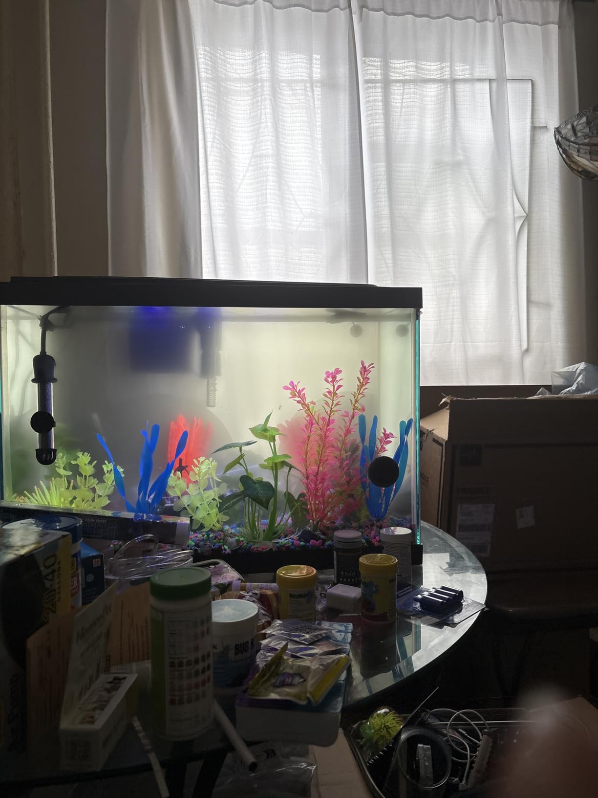 GloFish 20 Gallon Aquarium Kit with LED Lights, Decor Heater and Filter customer photo 1