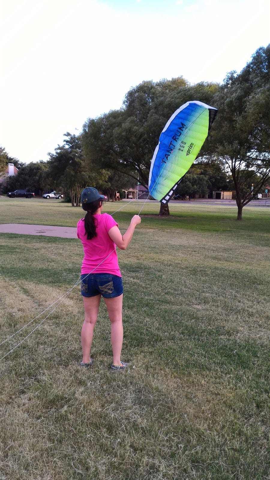 Prism Tantrum 250 Dual-line Parafoil Kite with Control Bar customer photo 2