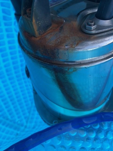 BACOENG DC 12V Farm & Ranch Solar Water Pump Submersible Well Pump 26ft Lift customer photo 1
