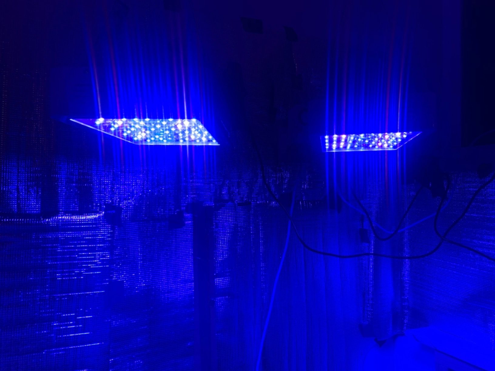 KingLED KP1000 Grow Light for Indoor Plants, Full Spectrum Plant Grow Light customer photo 1