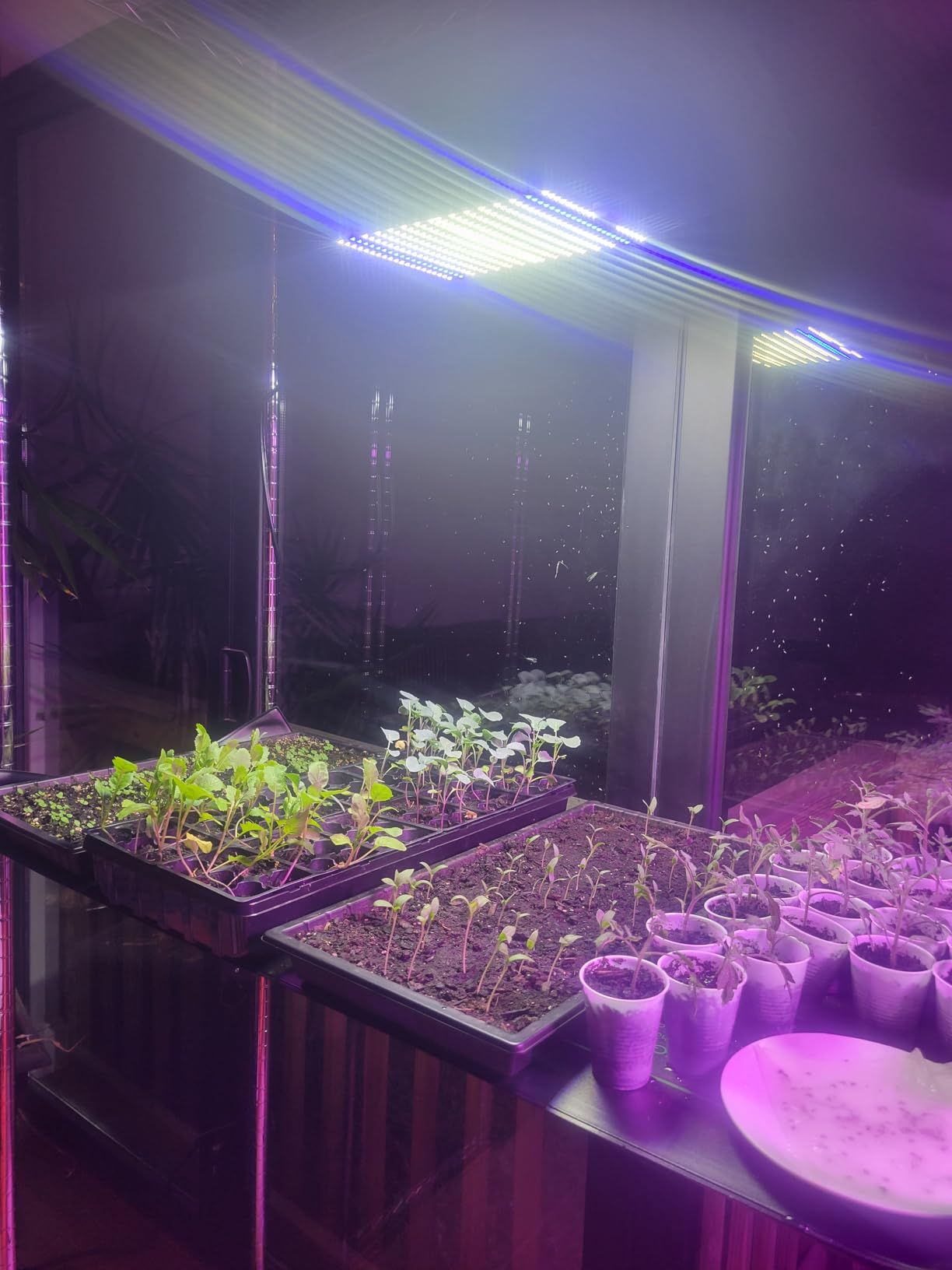 BESTVA DC1000 LED Grow Light, Full Spectrum Grow Lights for Indoor Plants customer photo 2