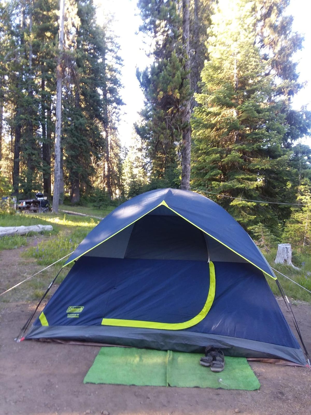Coleman Tents Coleman Sundome Tent customer photo 1