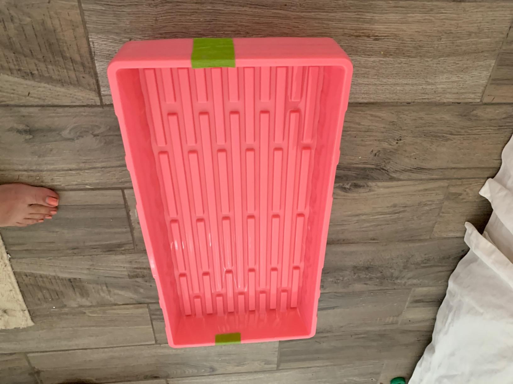 Bootstrap Farmer 1020 Trays (10-Pack), Heavy Duty No-Hole Flats for Microgreens, Fodder & Seedling Propagation - 1.8mm Thick Reusable Plastic customer photo 1