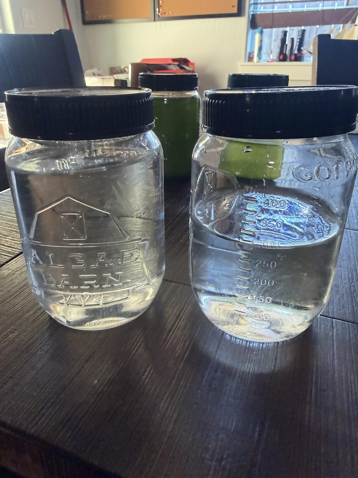 AlgaeBarn Live Copepods & Phytoplankton Combo Pack Tisbe & Tigriopus Pods + Live Phytoplankon (64oz) customer photo 1