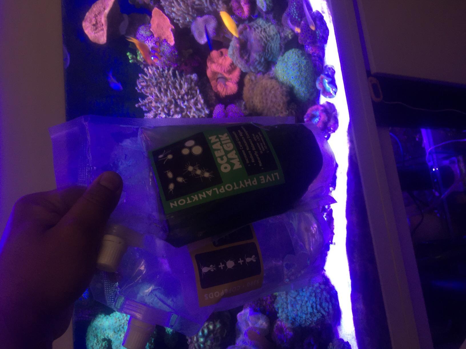OceanMagik Live Phytoplankton Blend - Tetra x Nanno x Iso x Thal Phyto Food for Coral and Copepod (32oz) customer photo 2