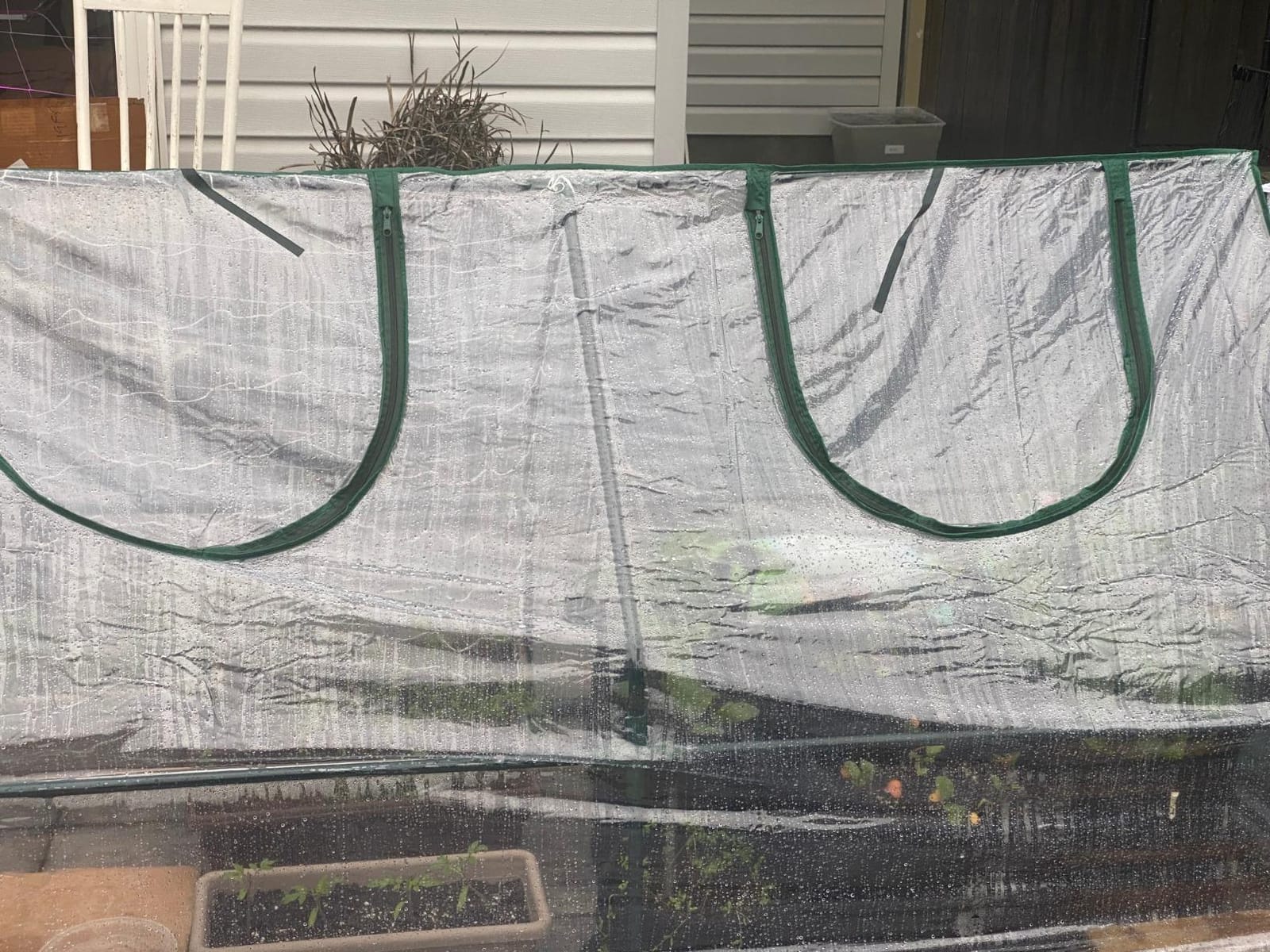 Quictent Mini Greenhouse for Indoor Outdoor, Portable Quick-Setup Tabletop customer photo 1