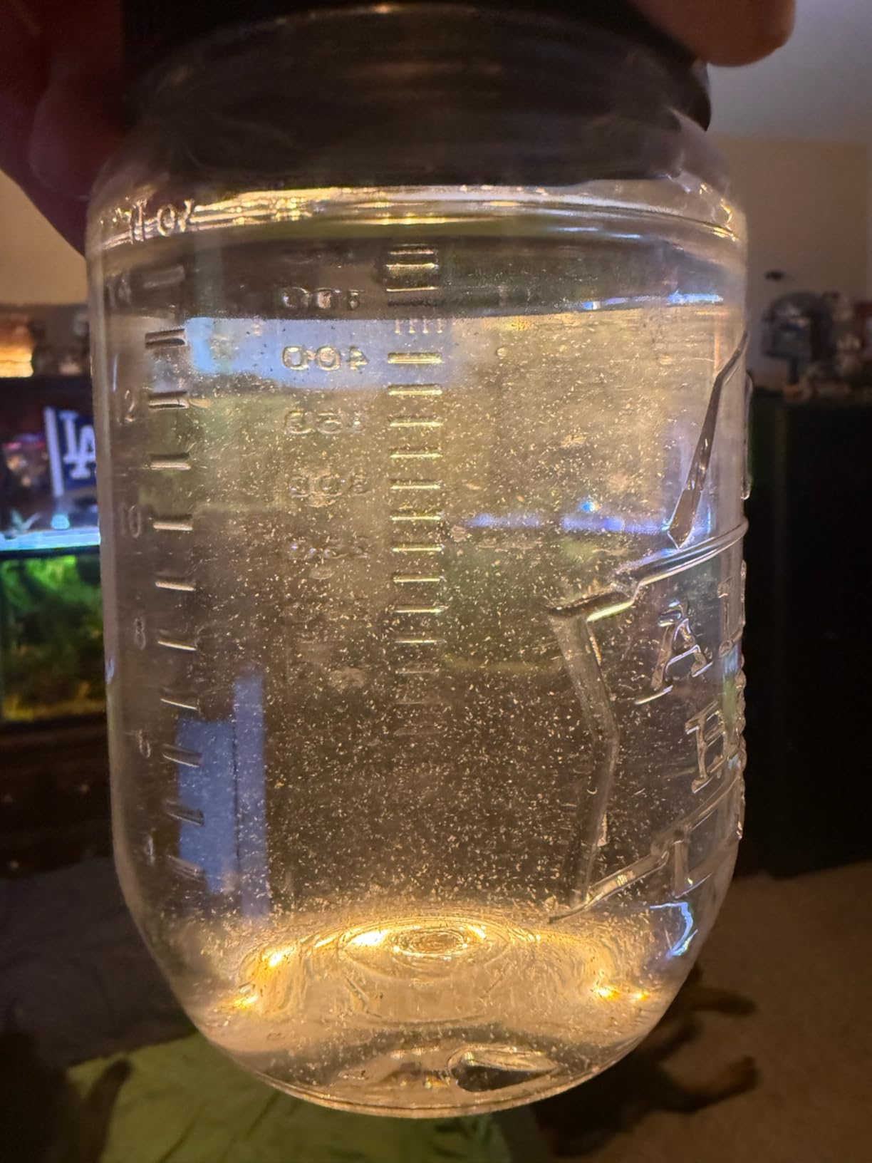 AlgaeBarn 5280 Pods :: Live Copepods :: Three Pod Species Tisbe + Tigriopus + Apocyclops :: Clean Your Tank & Mandarin & Finicky Fish Food (5,280+ Pods) customer photo 2