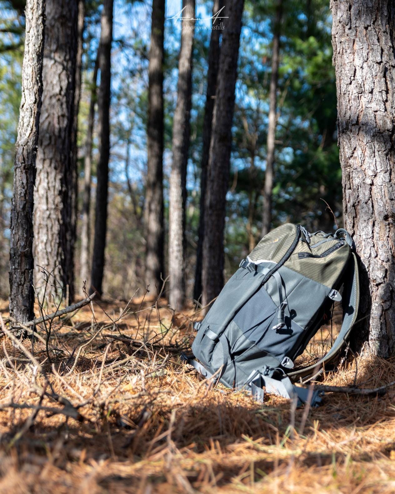 Lowepro LP37016-PWW Flipside Trek BP 450 AW Backpack for Camera, Grey/Dark Green customer photo 1