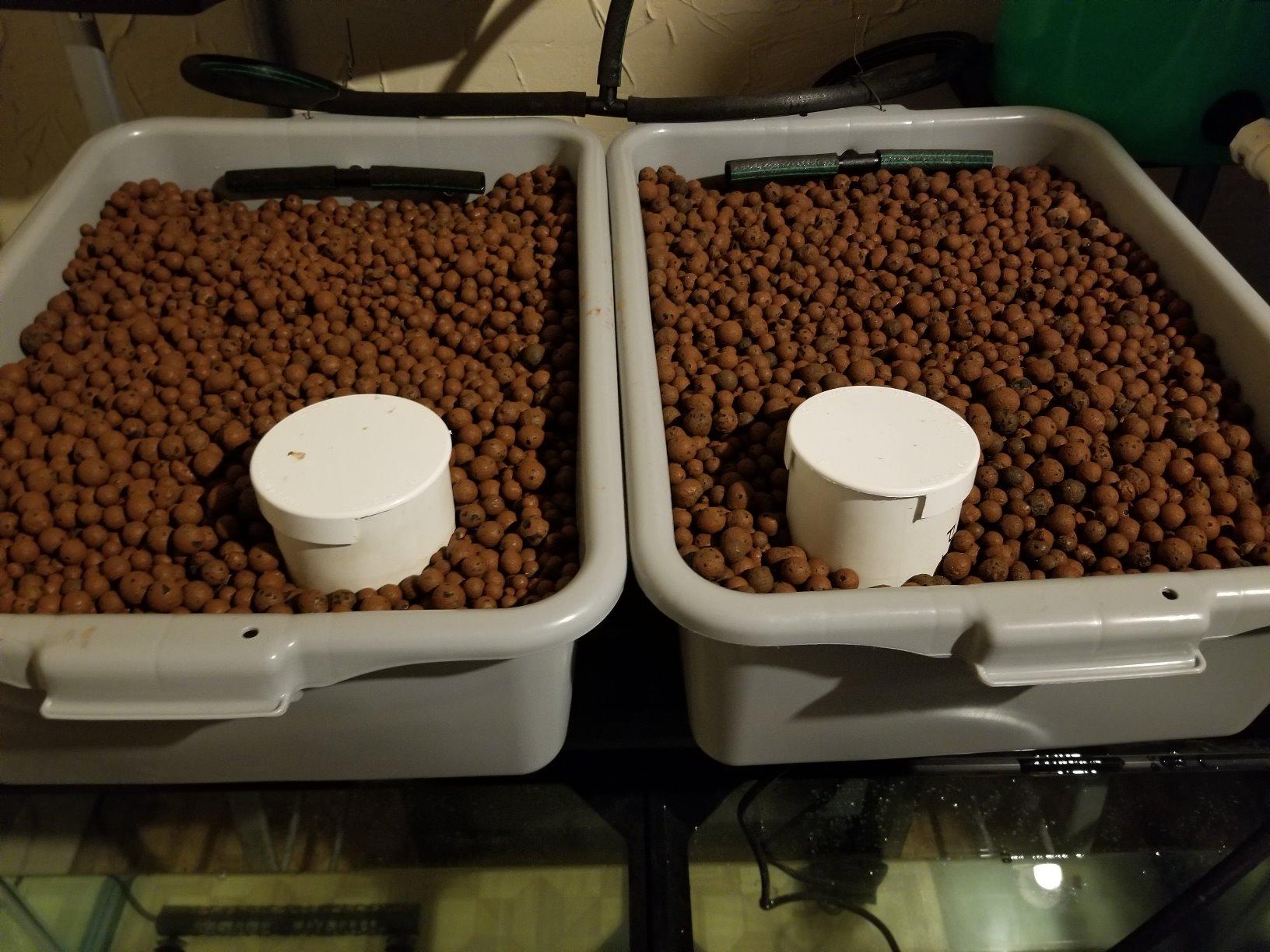 Mother Earth Products Mother Earth HGC714114 Hydroton Original Expanded Clay Pebbles, 25 Liter, Terra Cotta customer photo 2