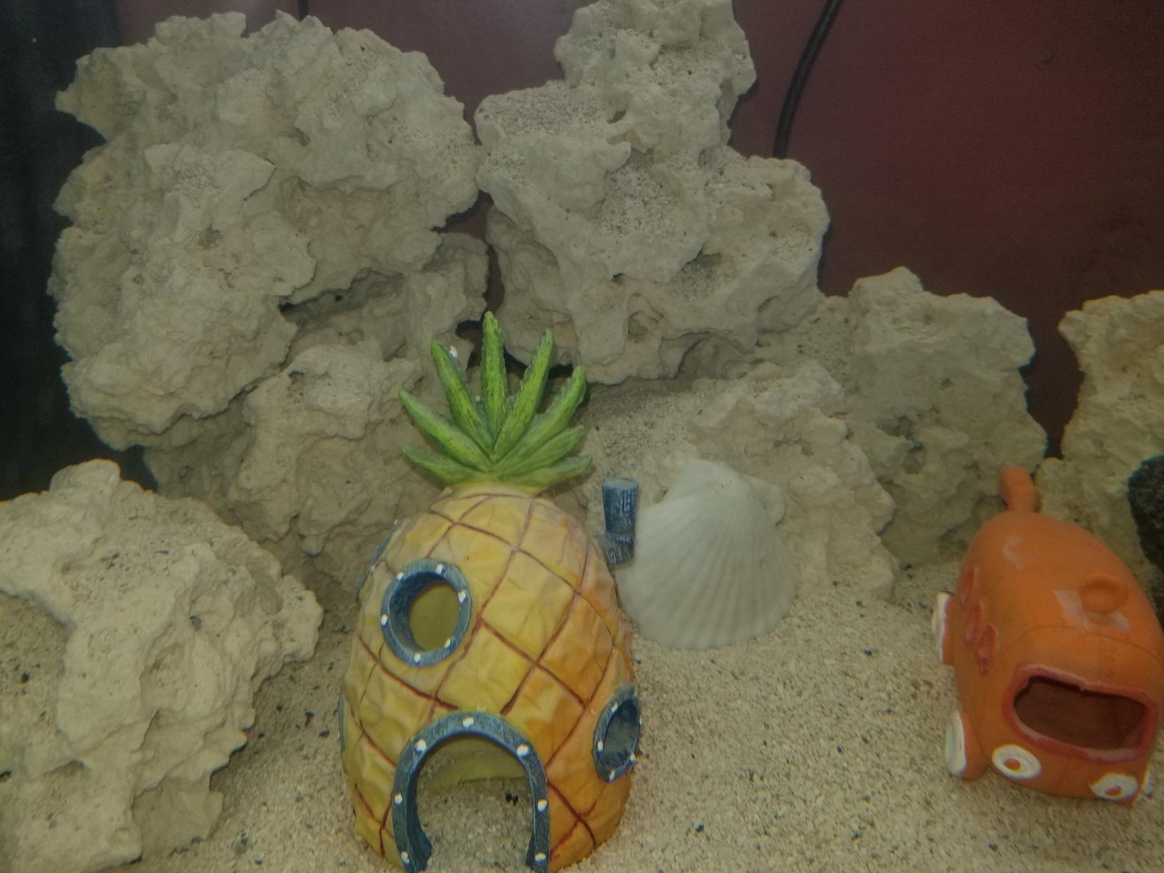 ARC Reef All New! Reef Stacker Dry Rock, All in 1 Aquascaping Kit for Saltwater Aquariums, 10 lbs. customer photo 2