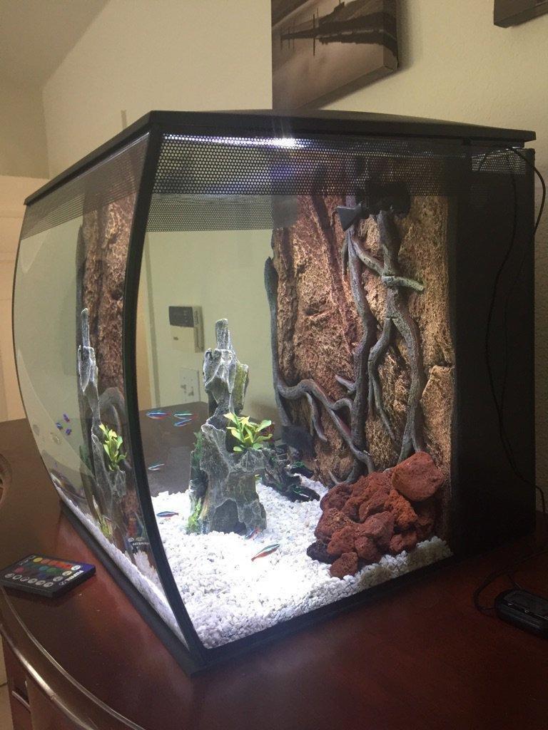 Fluval Flex 9 Gallon Glass Aquarium Kit, Black customer photo 2
