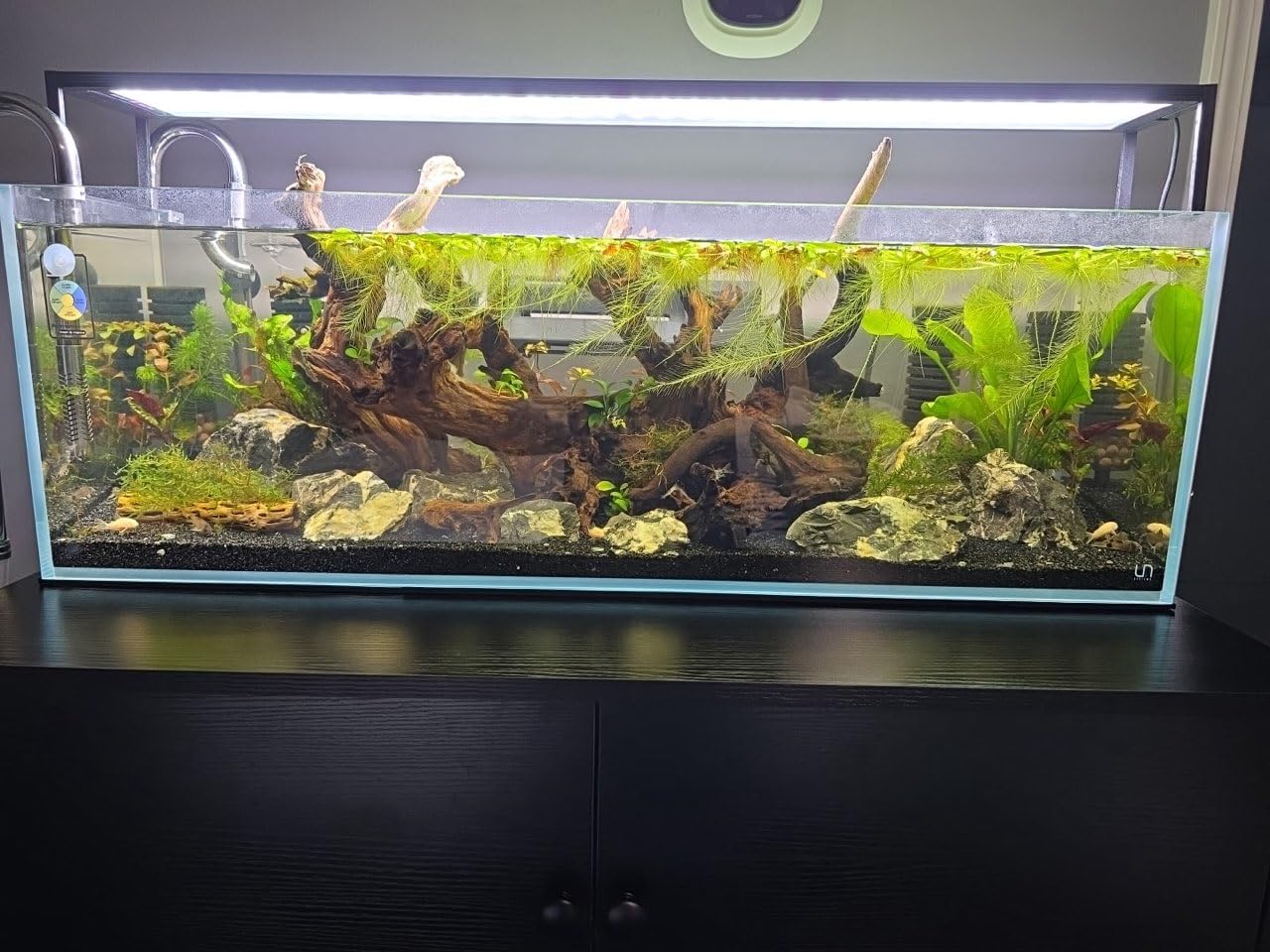 UNS Ultra Clear Rimless Tank - 7.1GAL | 27L - 11.81x11.81x11.81 | 30x30x30 CM, 5mm Glass Thickness, Leveling Mat Included - Low Iron, High Clarity Fish Tank w/ 45° Mitered Edge - [30C] customer photo 1