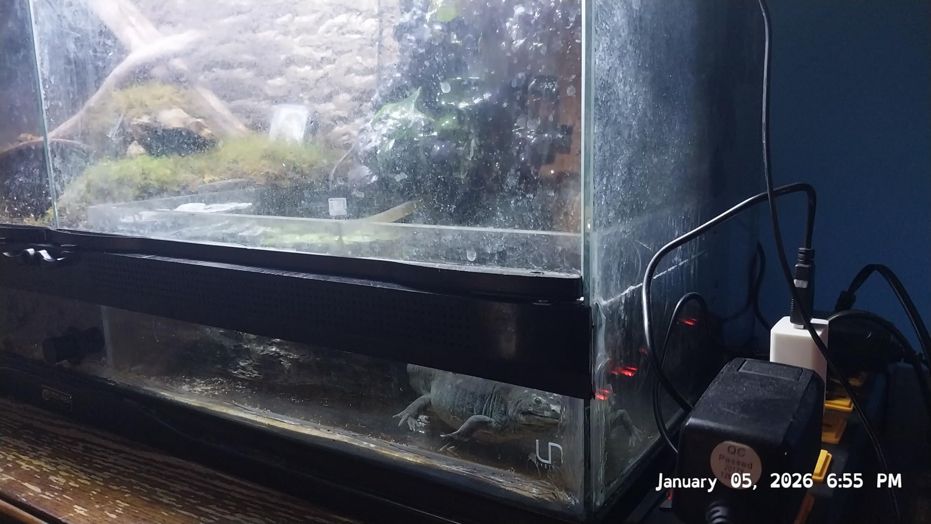 UNS Ultra Clear Rimless Tank - 7.1GAL | 27L - 11.81x11.81x11.81 | 30x30x30 CM, 5mm Glass Thickness, Leveling Mat Included - Low Iron, High Clarity Fish Tank w/ 45° Mitered Edge - [30C] customer photo 2