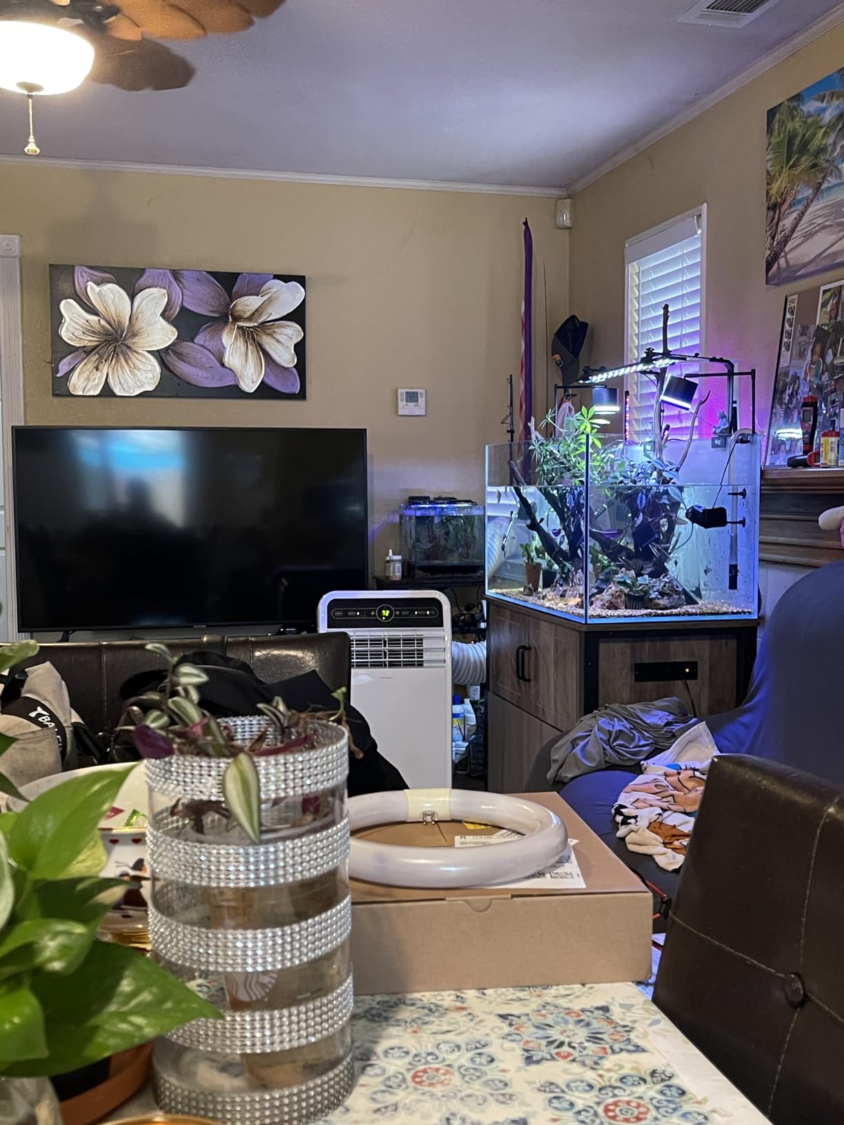 LANDEN Aquarium 100P 50 Gallon Ultra Clear Glass Rimless Fish Tank | 39.4x17.7x17.7in (100x45x45cm),10mm Low Iron Glass, leveling mat Included, Large Freshwater Plant Betta Turtle Aquascape Tank customer photo 2
