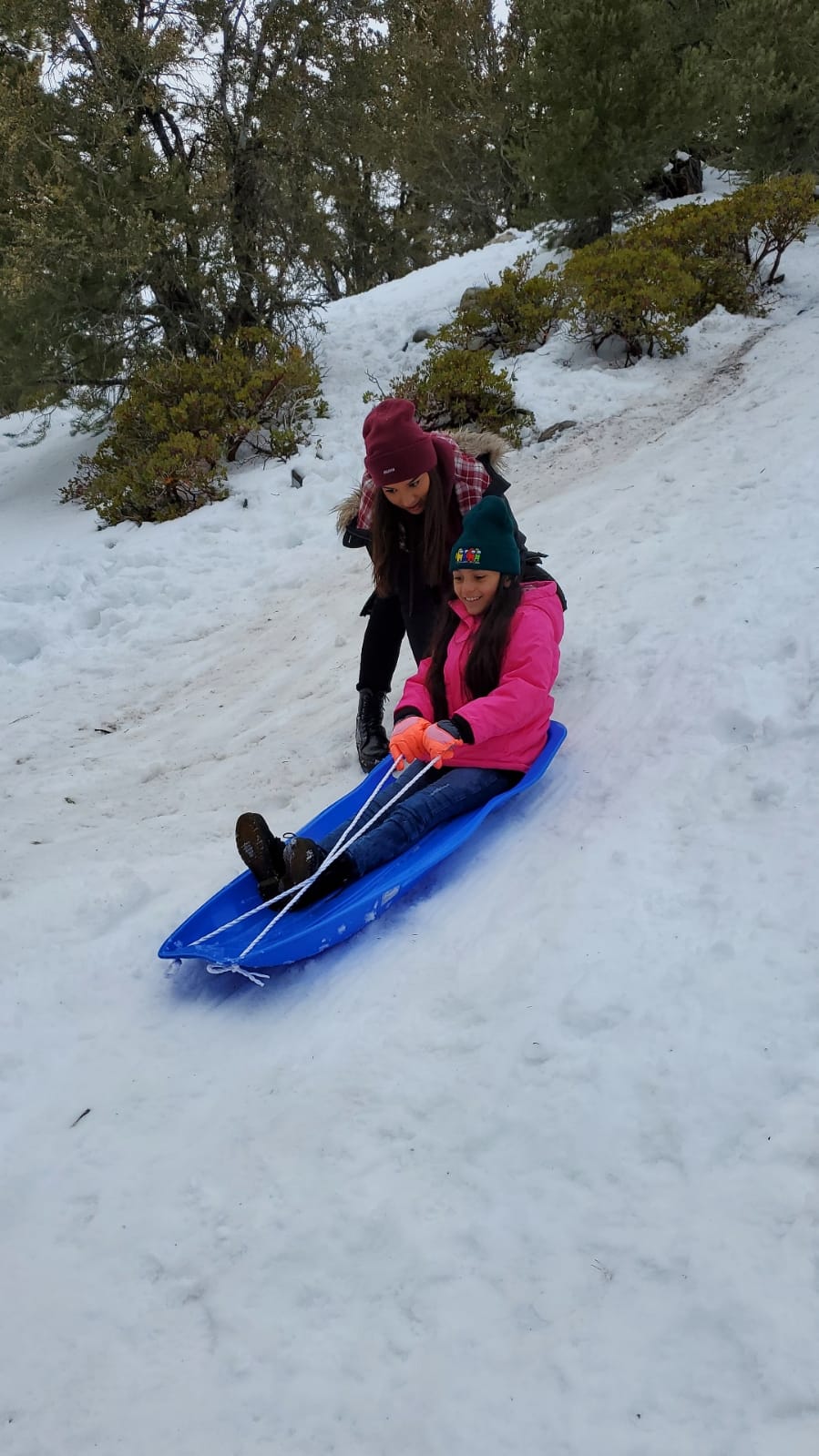 Slippery Racer Downhill Xtreme Flexible Adults and Kids Plastic Toboggan Snow Sled for Up to 2 Riders with Pull Rope and Handles, Red (Blue) customer photo 1