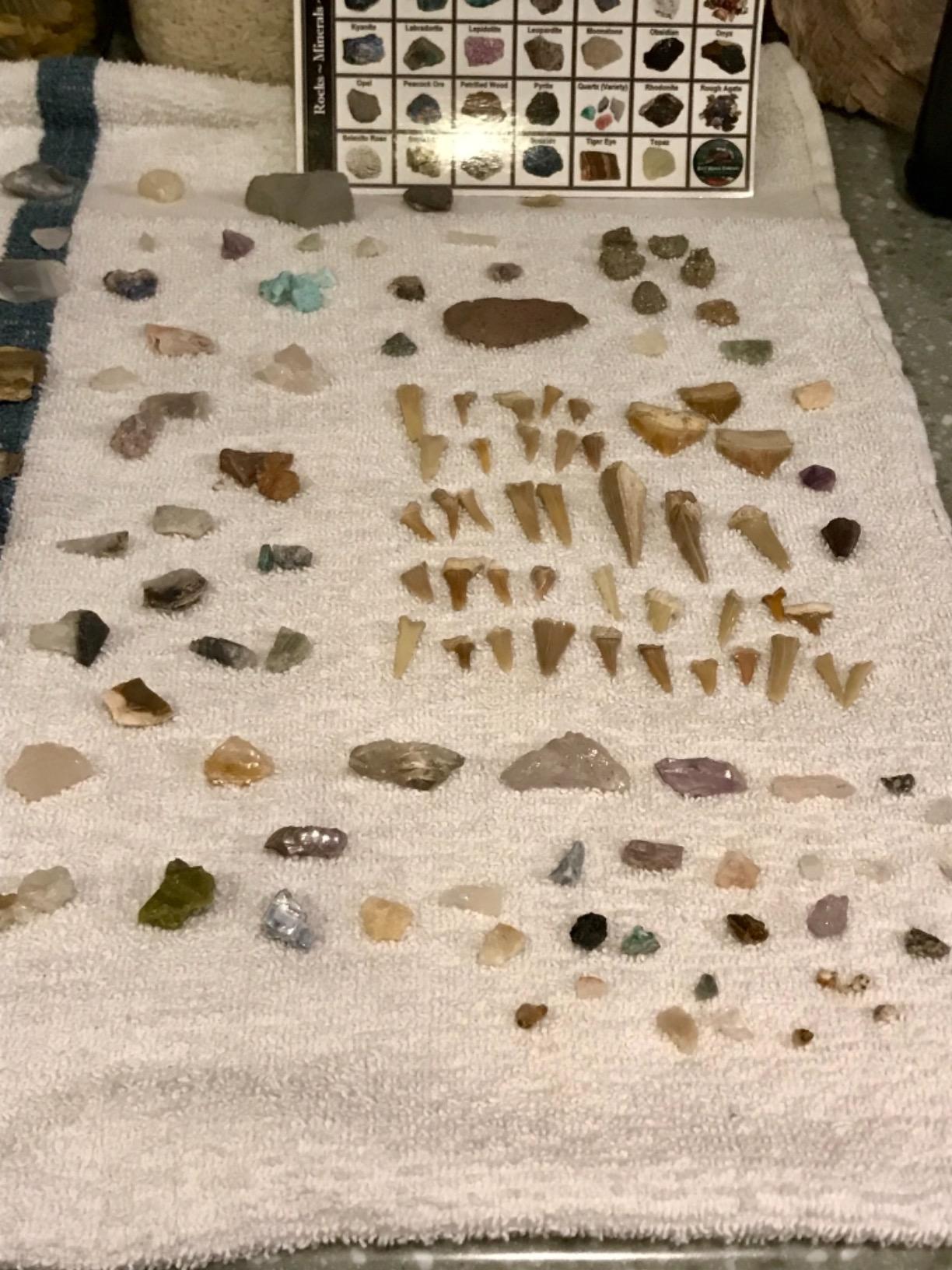 Adult Geology Kit: Rocks, Minerals, Fossils, Crystals & Shark Teeth customer photo 1