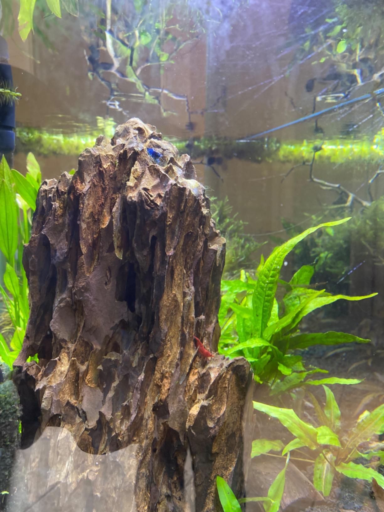 Shrimp Mineral GH/KH+ 100g customer photo 2