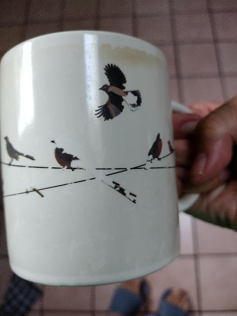 The Unemployed Philosophers Guild Birds on a Wire Heat Changing Mug - Add Coffee and Colorful Birds Appear, Comes in a Fun Box customer photo 1