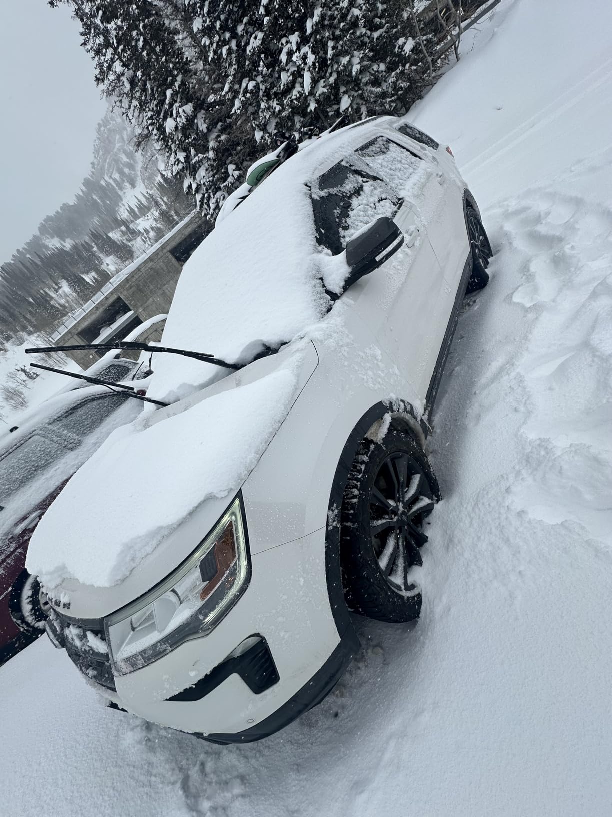 Yakima - FatCat EVO 4 EVO, Rooftop Ski and Snowboard Mount, Black customer photo 1