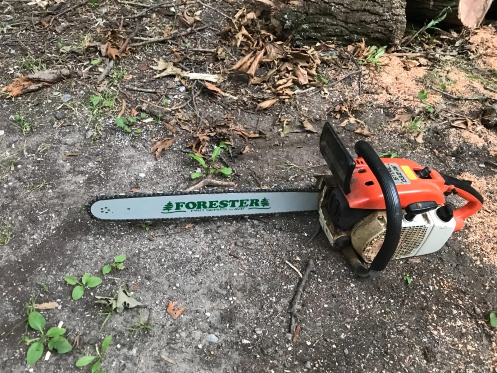FORESTER 20