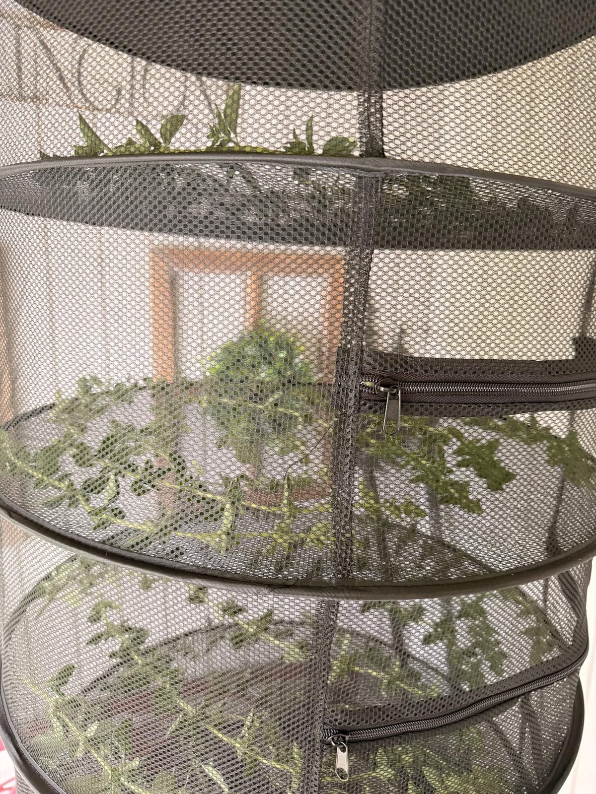 Desy & Feeci 4-Layer Herb Drying Rack - Collapsible Mesh Hanging Dryer Net for Herbs, Flowers, Tea, Fruits, and Vegetables - Includes S-Hook & Storage Bag (24