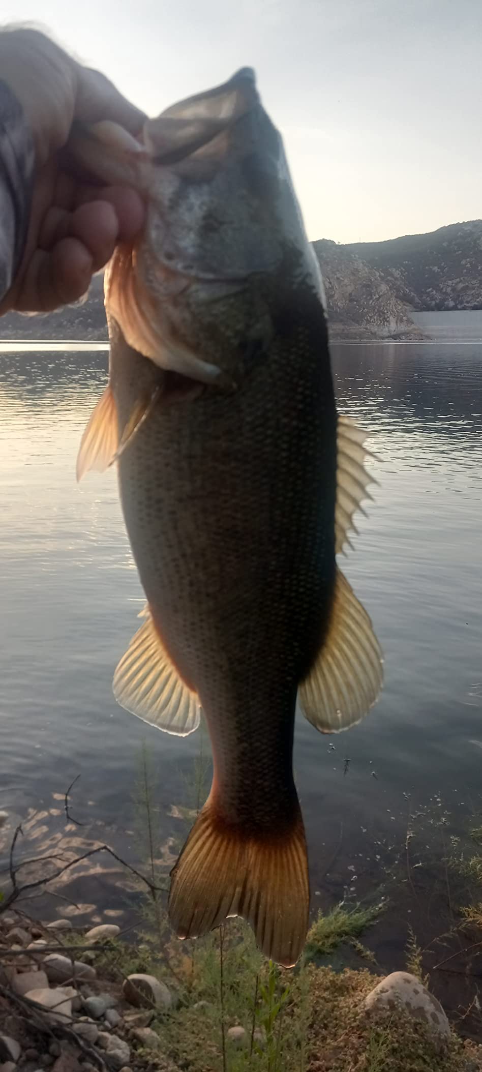 13 FISHING - Source X - Spinning Reels customer photo 2