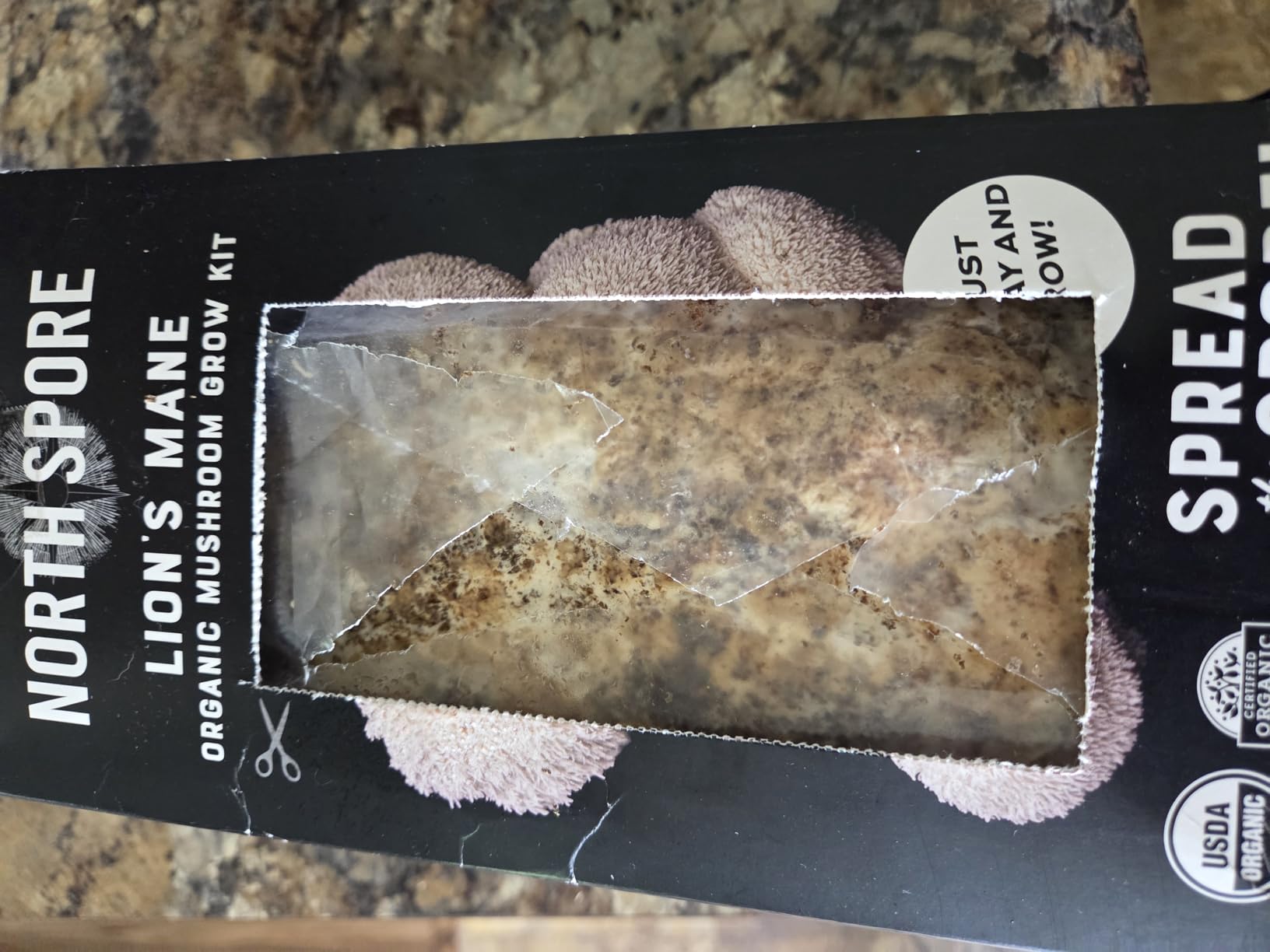 North Spore Organic Lion's Mane Mushroom Grow Kit, 4 lbs | Beginner-friendly Mushroom Spray & Grow Kit, USDA-Certified Organic, Harvest in 14-21 Days, Non-GMO, Handmade in Maine, USA customer photo 1
