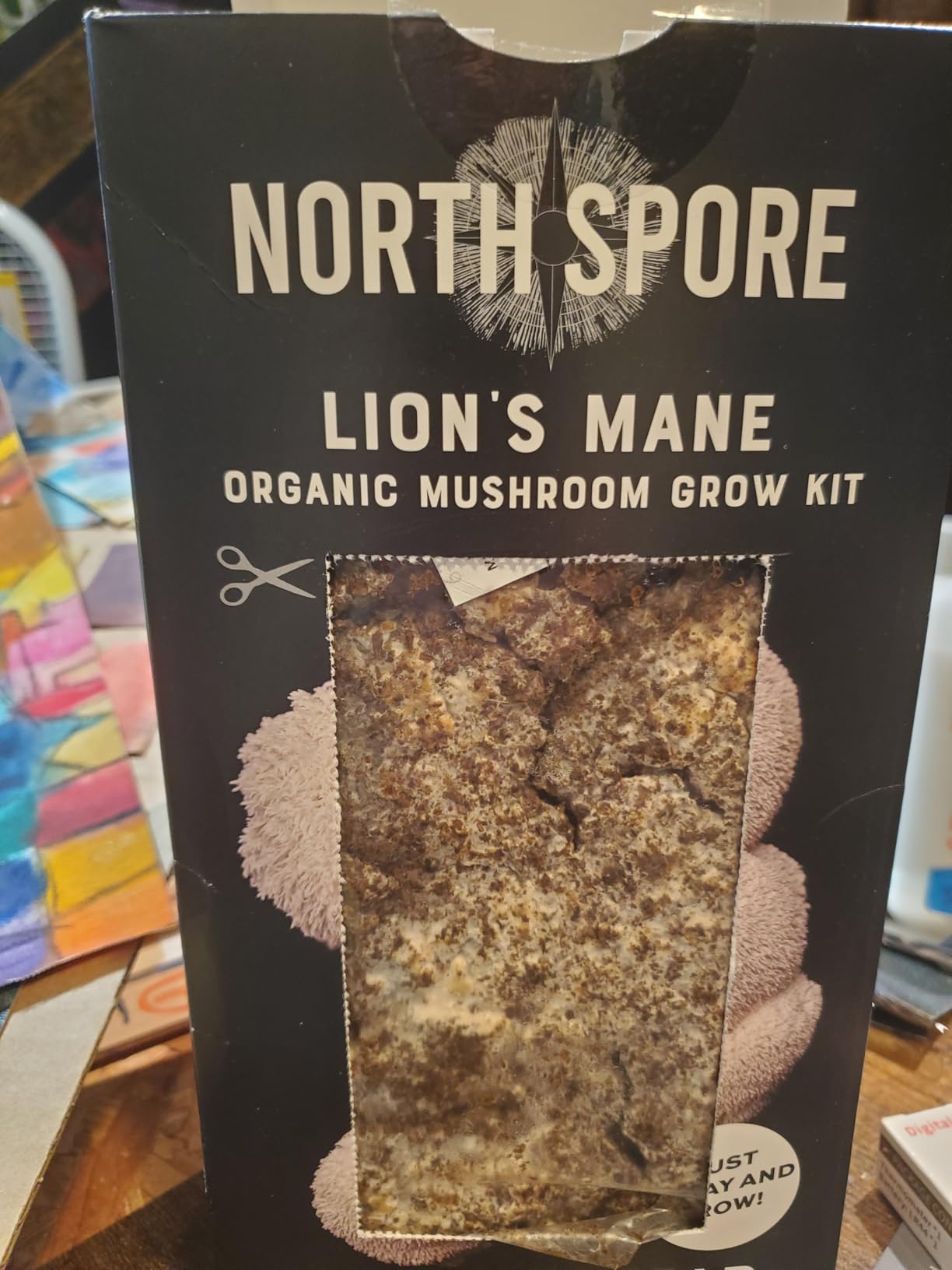 North Spore Organic Lion's Mane Mushroom Grow Kit, 4 lbs | Beginner-friendly Mushroom Spray & Grow Kit, USDA-Certified Organic, Harvest in 14-21 Days, Non-GMO, Handmade in Maine, USA customer photo 2