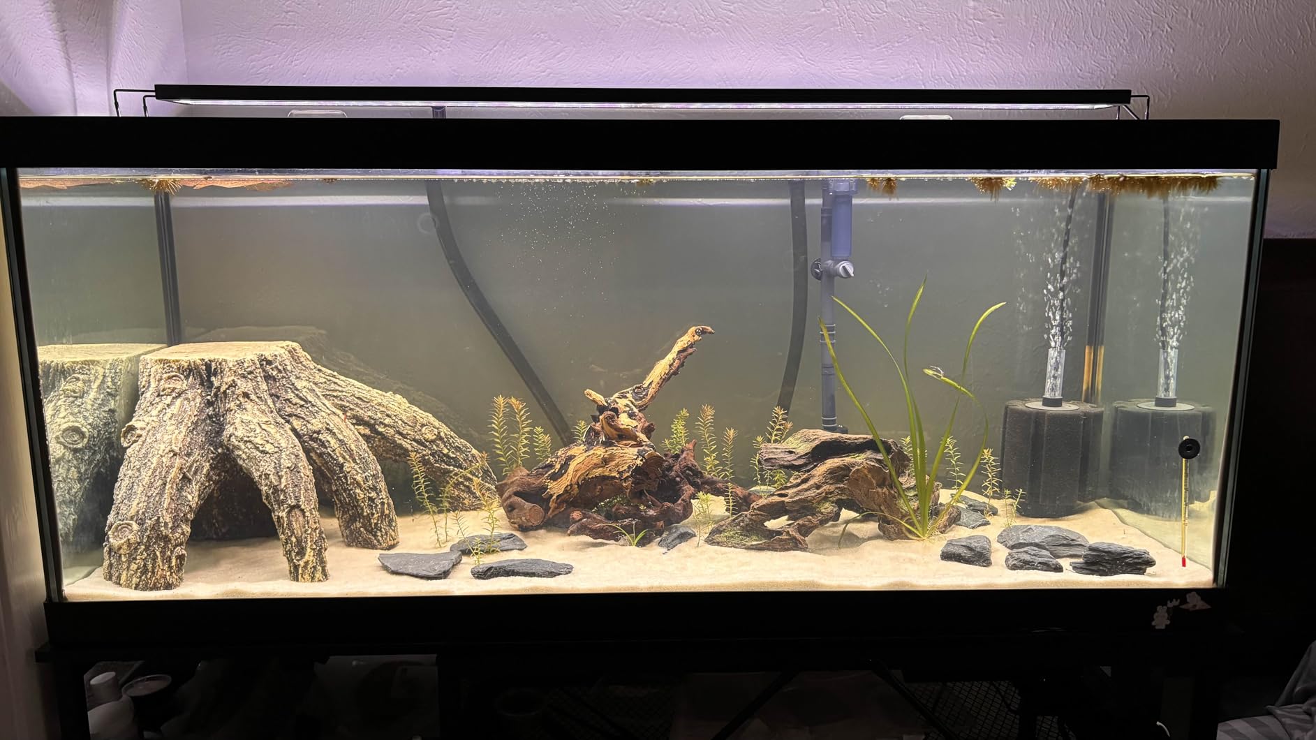 Natural Slate Stone 3 to 5 inch Rocks for Miniature and Fairy Garden, Aquascaping Aquariums, Reptile enclosures & Model Railroad. (5lbs) customer photo 1