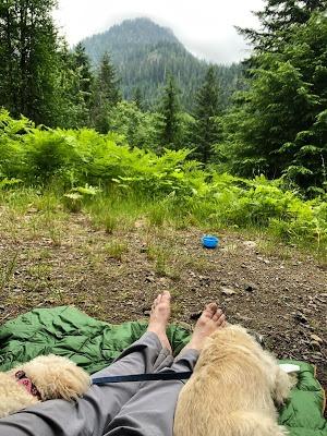 Horizon Hound Down Camping Blanket 650 Fill Power - Ultralight Backpacking Quilt (1lb 6oz) Warm & Water-Resistant 20D Nylon Shell for Outdoors, Camping, Hiking, Travel customer photo 2