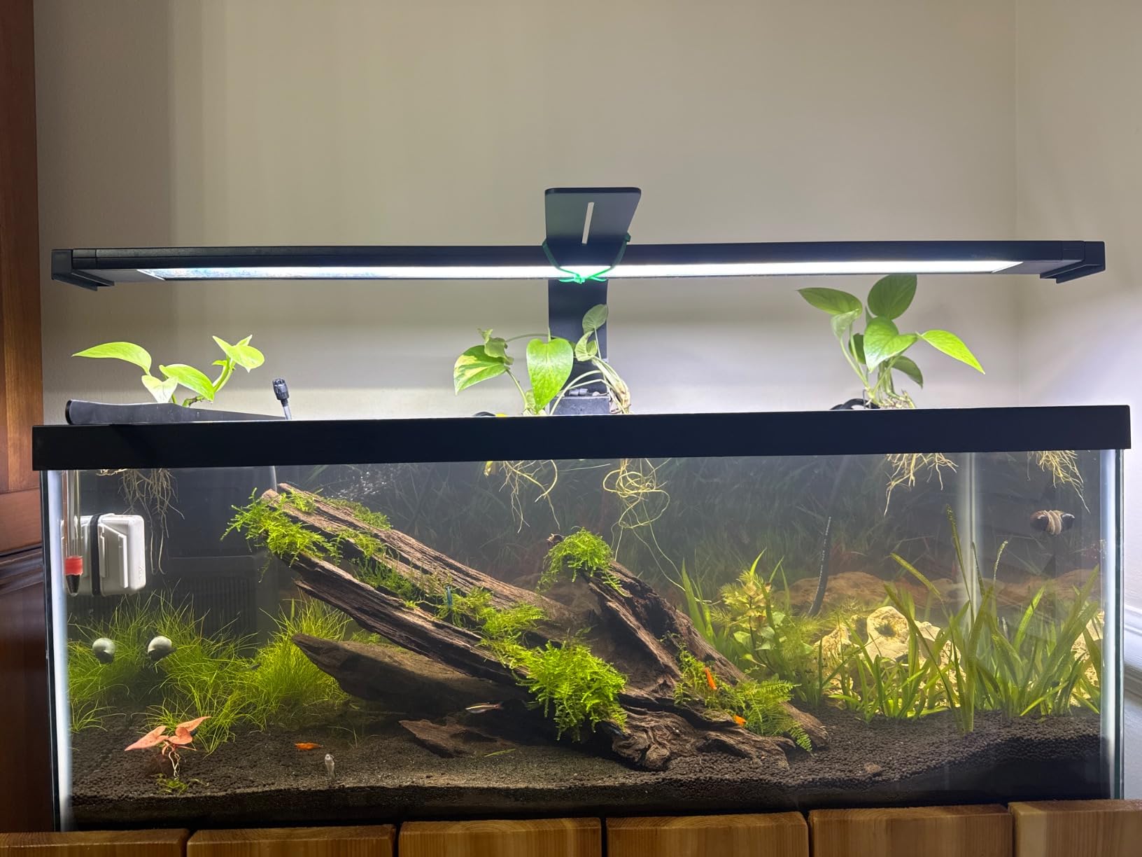 Fluval Plant 3.0 LED Planted Aquarium Lighting, 46 Watts, 36-46 Inches customer photo 2