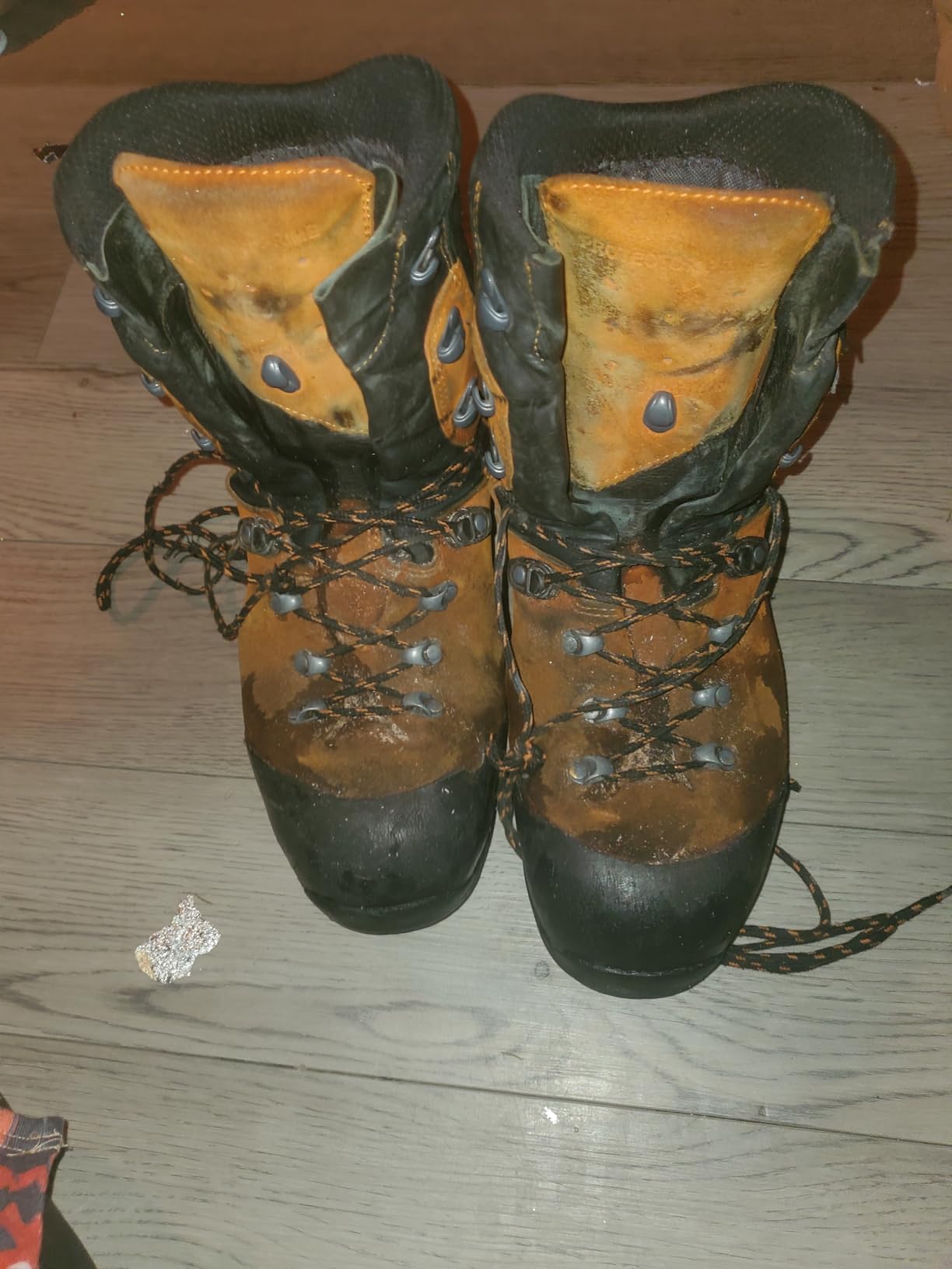 HAIX Protector Prime Mens Orange Steel Toe EH PR WP 9 In Boot customer photo 2